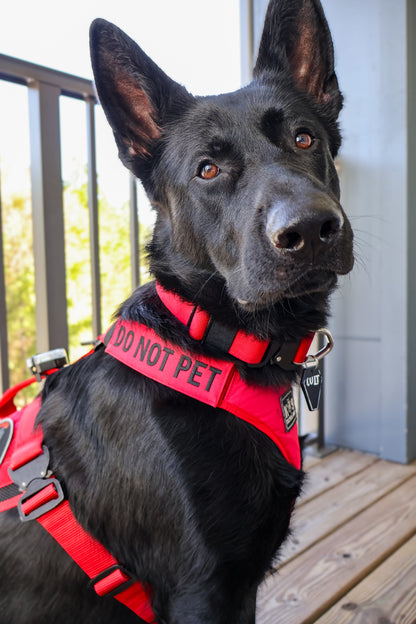 Tactical Patch - Custom Text & Design