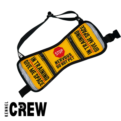 MESH | Order Upgrade